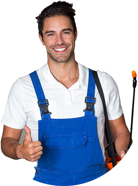 best pest control services in lucknow