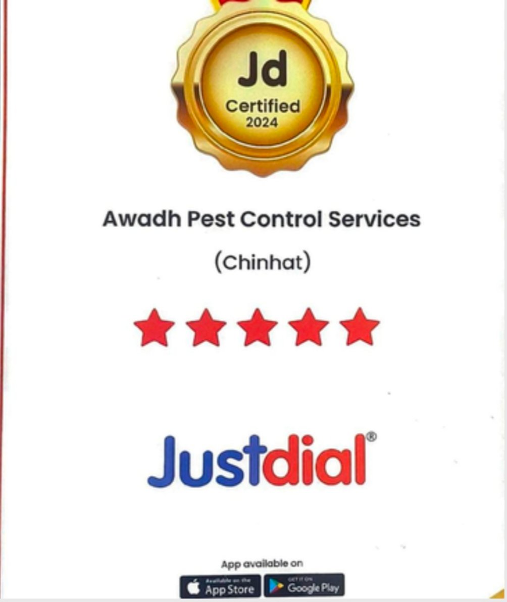 JUSTDIAL AWARDS