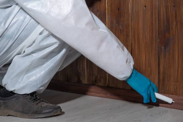 Anti termite treatment service in Gomti Nagar Lucknow