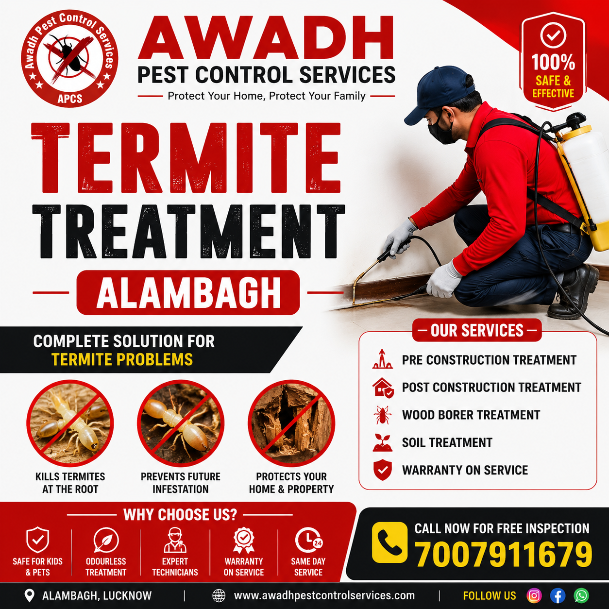termite treatment service in alambagh lucknow