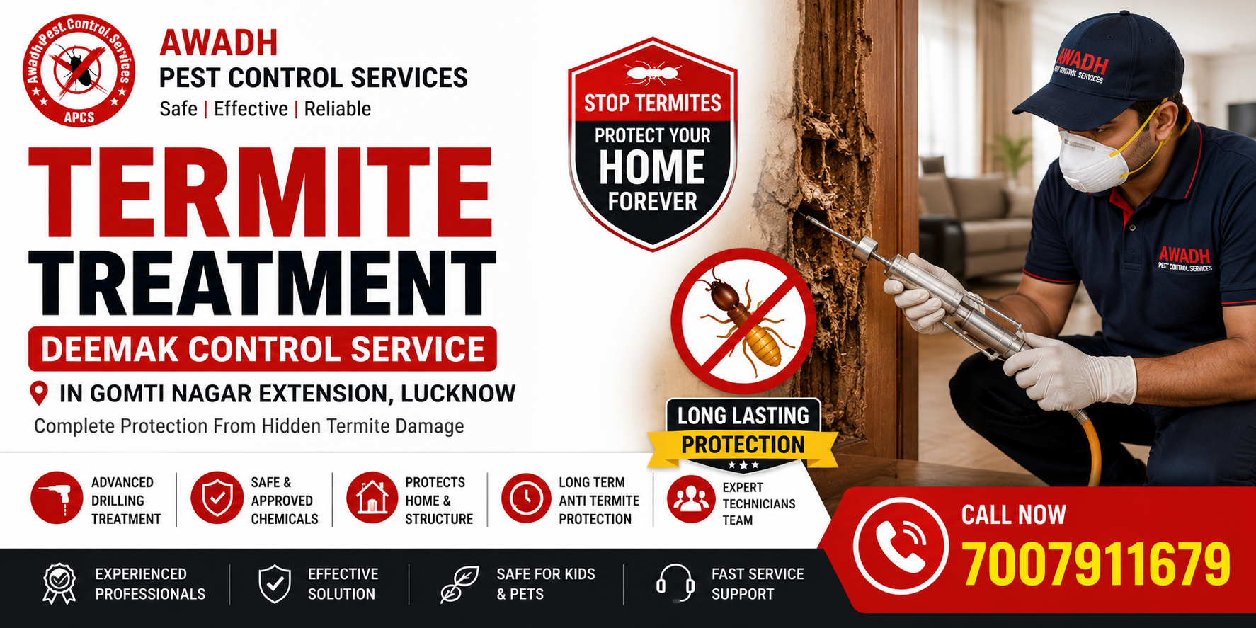 Professional deemak control and anti termite treatment in Gomti Nagar Extension Lucknow