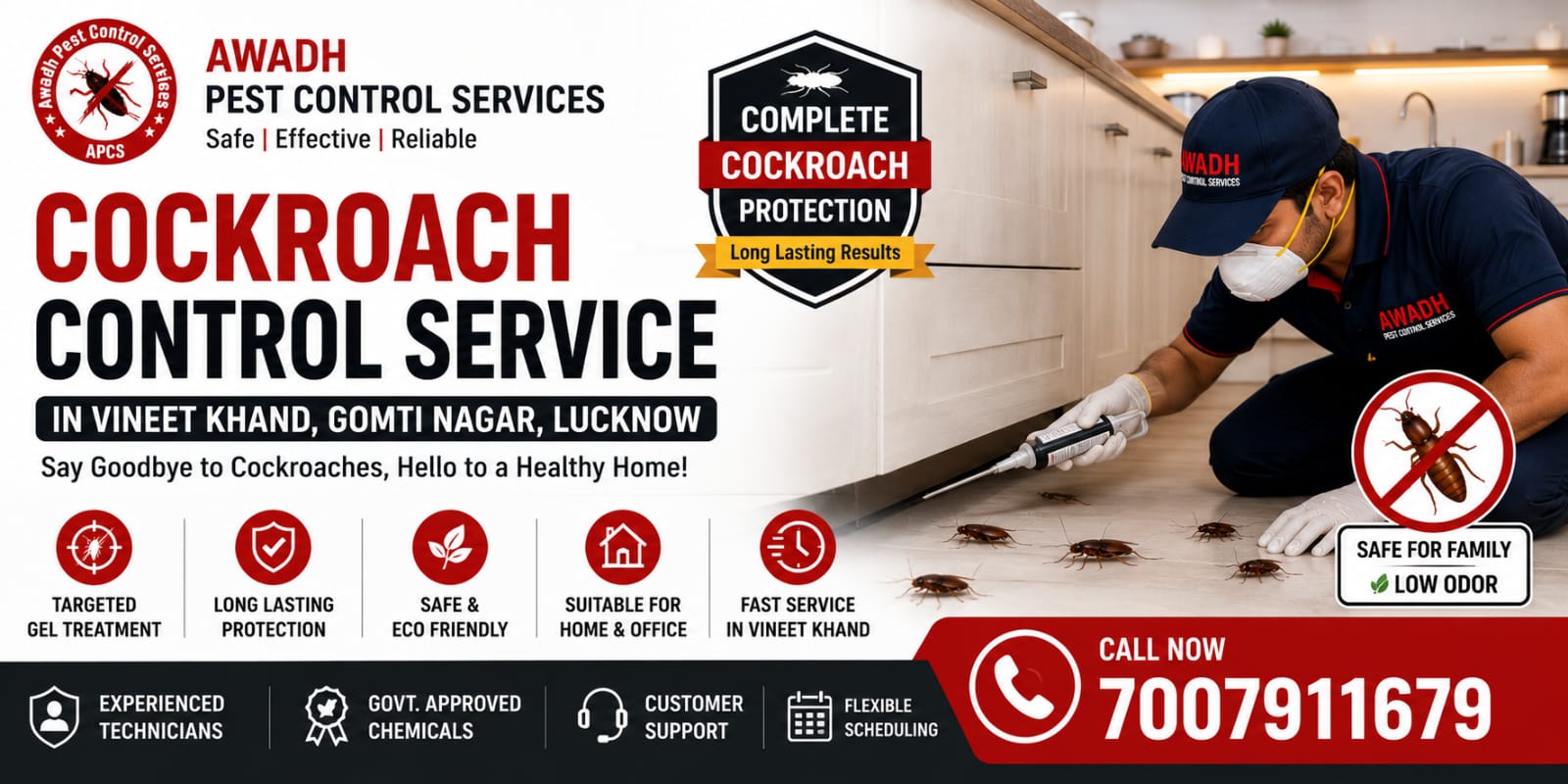 Professional kitchen cockroach treatment in Vineet Khand Gomti Nagar Lucknow