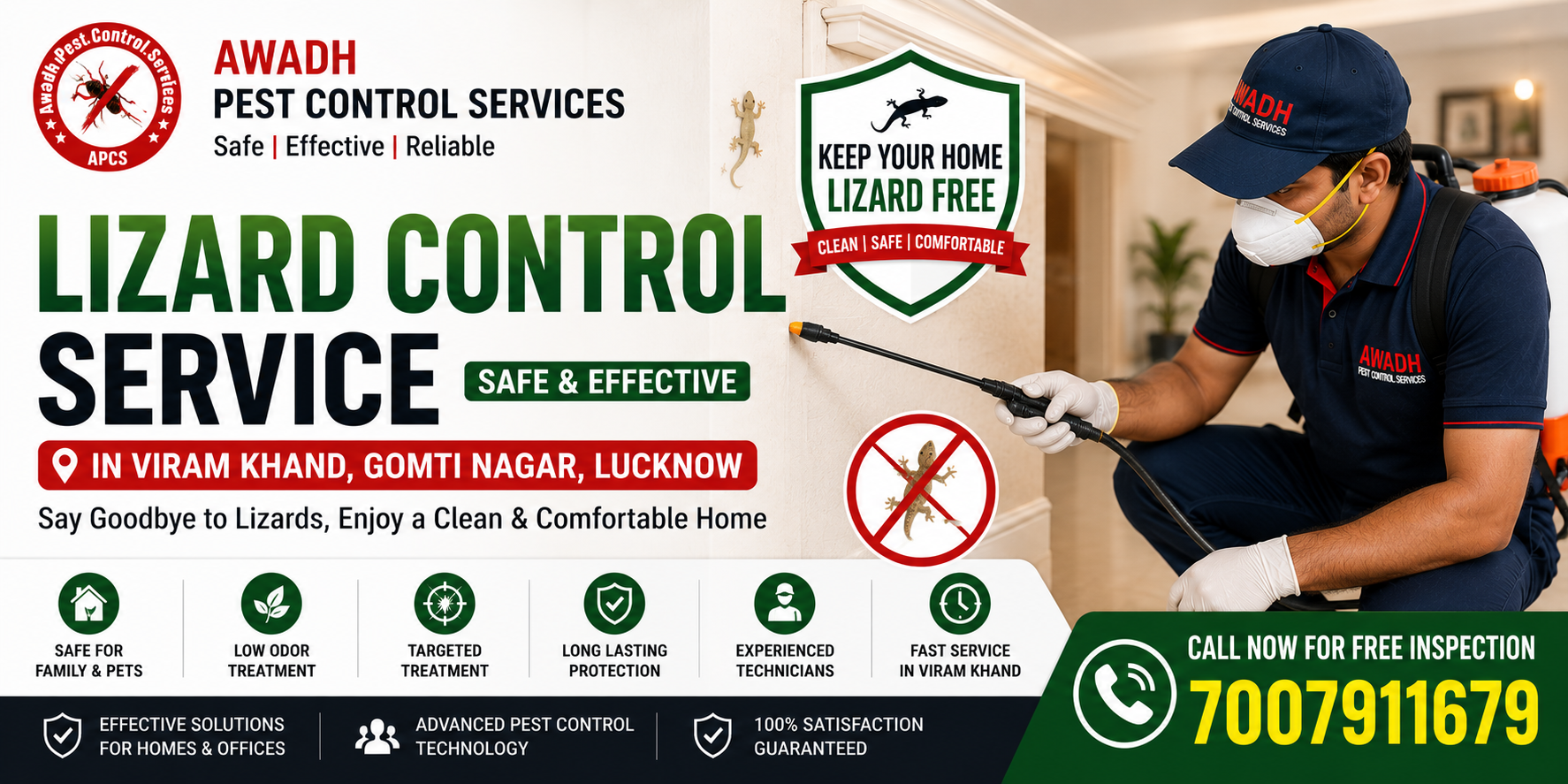 Professional chipkali control treatment in Viram Khand Gomti Nagar Lucknow