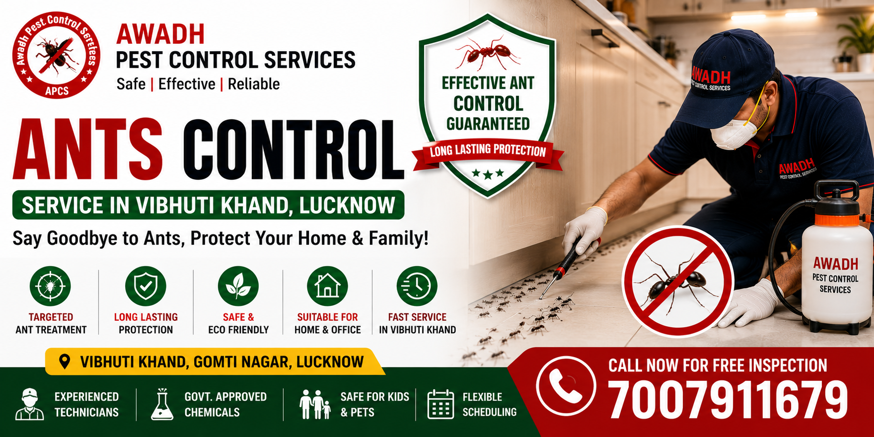 Professional ants control treatment in Vibhuti Khand Gomti Nagar Lucknow