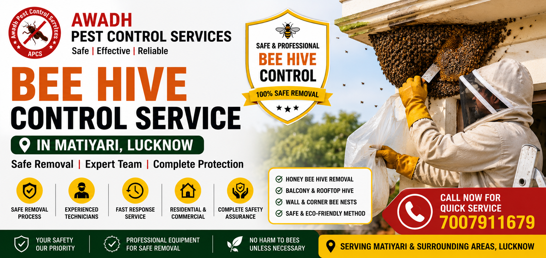 Professional honey bee hive removal service in Matiyari Lucknow