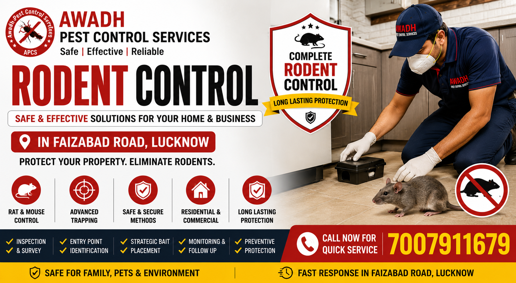 Professional rat and mouse control treatment in Faizabad Road Lucknow