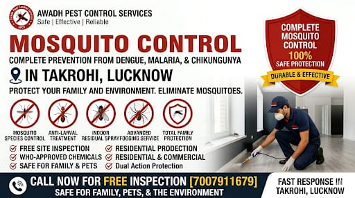 Professional mosquito fogging treatment service in Takrohi Lucknow
