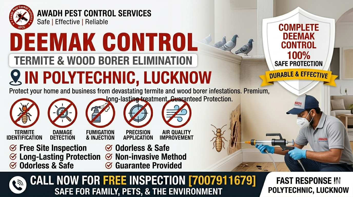Professional termite treatment service in Polytechnic Lucknow