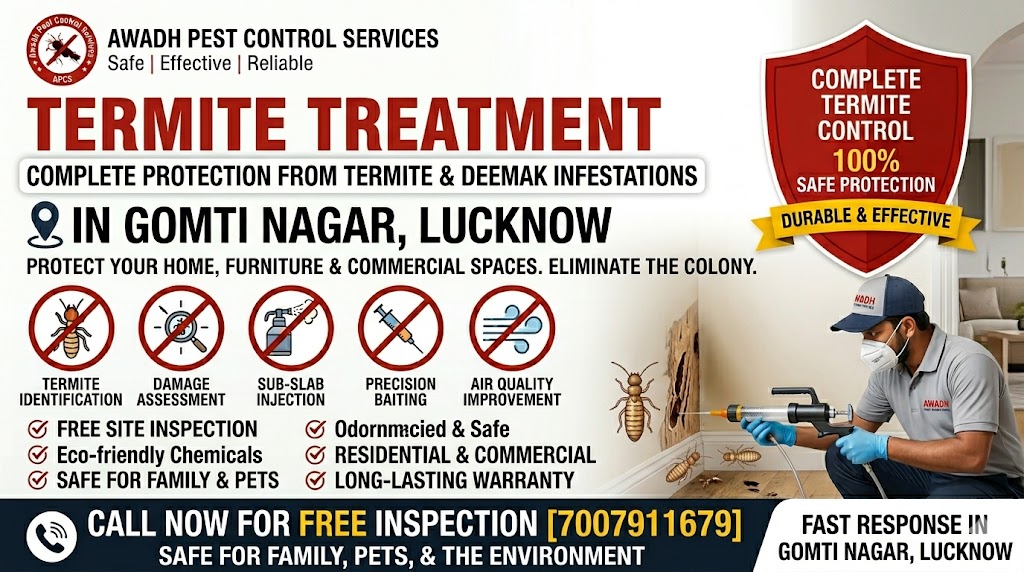 Professional anti termite treatment service in Gomti Nagar Lucknow