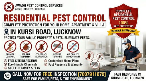 Professional residential pest control treatment service in Kursi Road Lucknow