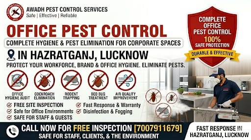 Professional office pest management service in Hazratganj Lucknow