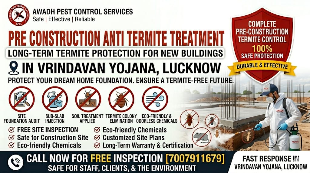 Professional soil anti termite treatment service in Vrindavan Yojana Lucknow
