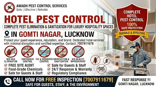 Professional Hotel Pest Control Service in Gomti Nagar Lucknow