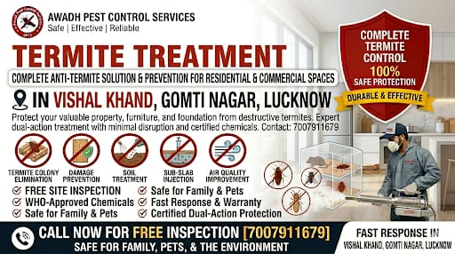 Professional Termite Treatment Service in Vishal Khand Gomti Nagar Lucknow