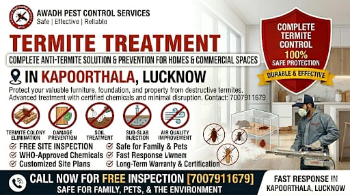 Professional Termite Treatment Service in Kapoorthala Lucknow