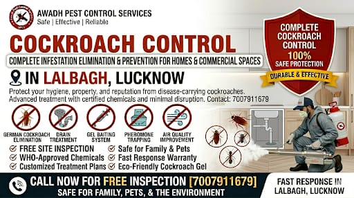 Professional Cockroach Control Service in Lalbagh Lucknow