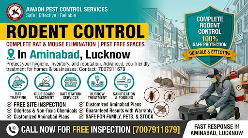 Professional Rodent Control Service in Aminabad Lucknow