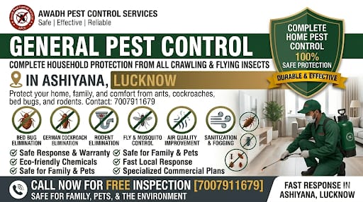 Professional General Pest Control Service in Ashiyana Lucknow