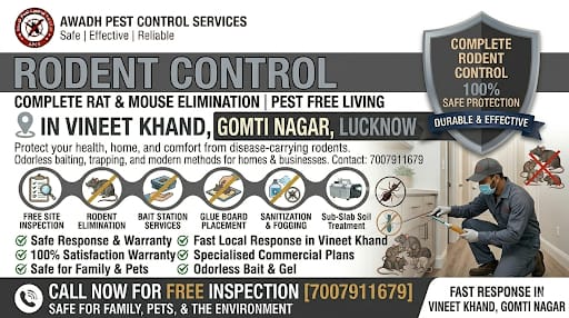 Professional Rodent Control Service in Vineet Khand Gomti Nagar Lucknow