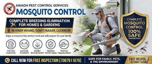 Professional Mosquito Control Service in Vinay Khand Gomti Nagar Lucknow