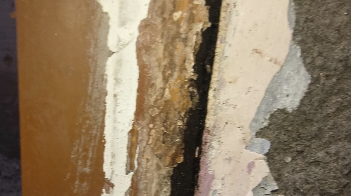 Professional Termite Treatment Service in Indira Nagar Lucknow