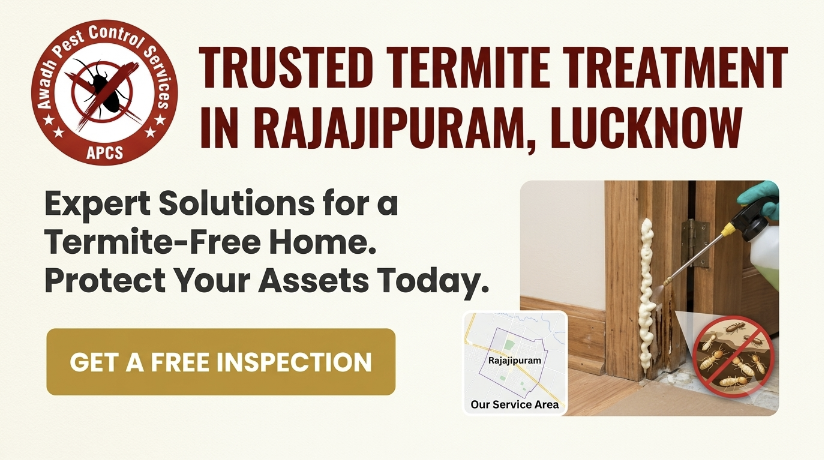 Professional Deemak Control Service in Rajajipuram Lucknow