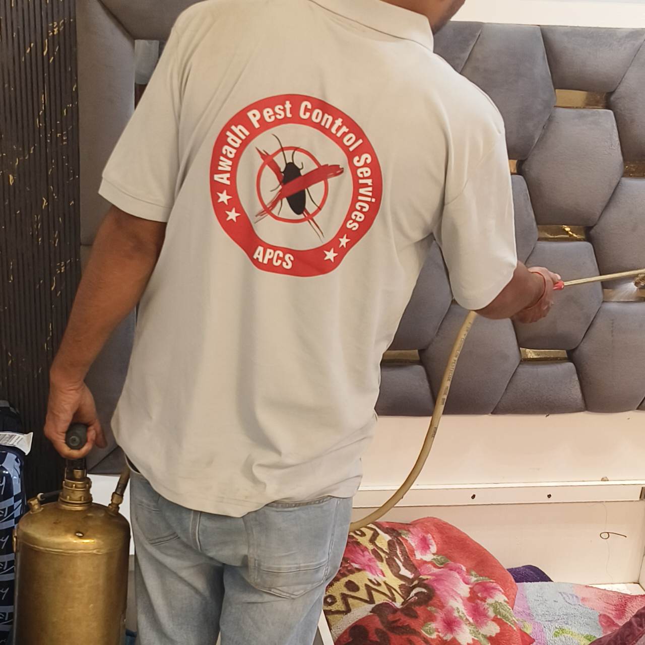 Home pest control treatment in Jankipuram Extension Lucknow